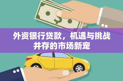 从化外资银行贷款，机遇与挑战并存的市场新宠