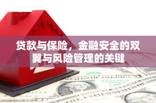 从化贷款与保险，金融安全的双翼与风险管理的关键