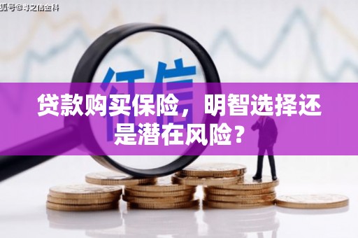 从化贷款购买保险，明智选择还是潜在风险？