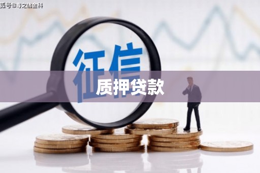 从化质押贷款