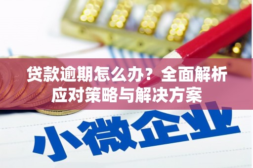 从化贷款逾期怎么办？全面解析应对策略与解决方案