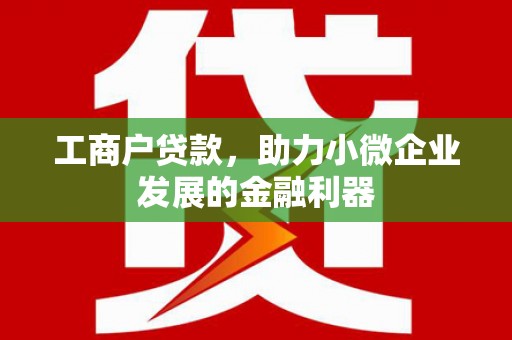 从化工商户贷款，助力小微企业发展的金融利器
