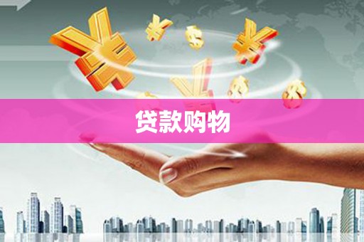 从化贷款购物