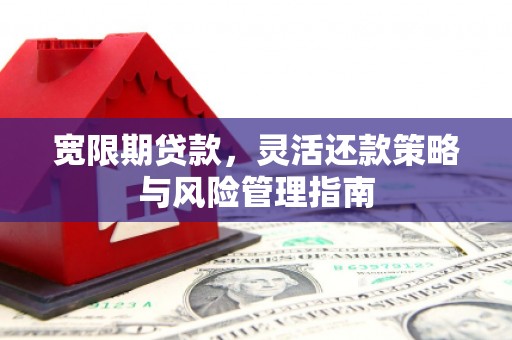 从化宽限期贷款，灵活还款策略与风险管理指南
