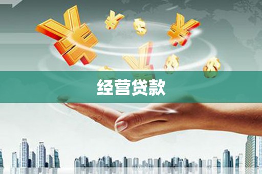 从化经营贷款