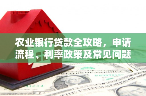 从化农业银行贷款全攻略，申请流程、利率政策及常见问题解析