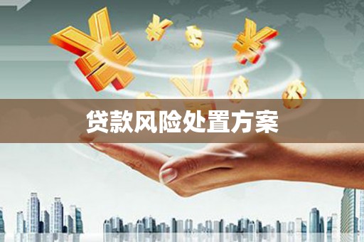 从化贷款风险处置方案
