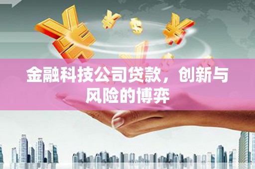 从化金融科技公司贷款，创新与风险的博弈
