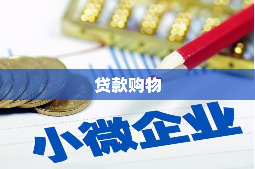 从化贷款购物