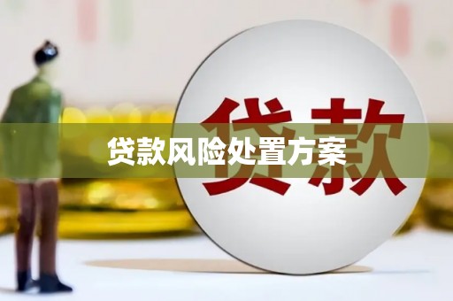 从化贷款风险处置方案