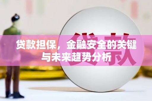 从化贷款担保，金融安全的关键与未来趋势分析