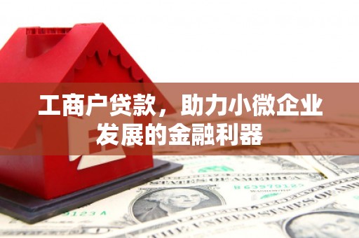 从化工商户贷款，助力小微企业发展的金融利器