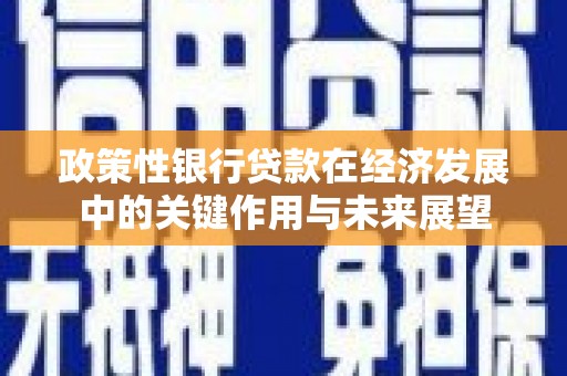 从化政策性银行贷款在经济发展中的关键作用与未来展望
