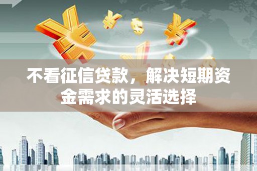 从化不看征信贷款，解决短期资金需求的灵活选择