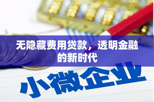 从化无隐藏费用贷款，透明金融的新时代