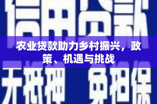 从化农业贷款助力乡村振兴，政策、机遇与挑战