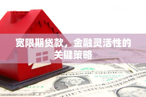 从化宽限期贷款，金融灵活性的关键策略