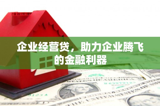 从化企业经营贷，助力企业腾飞的金融利器