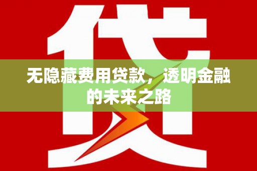 从化无隐藏费用贷款，透明金融的未来之路