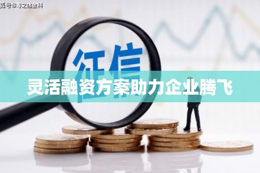 从化灵活融资方案助力企业腾飞