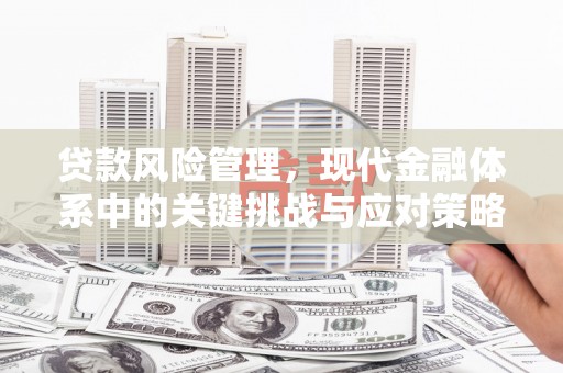 从化贷款风险管理，现代金融体系中的关键挑战与应对策略