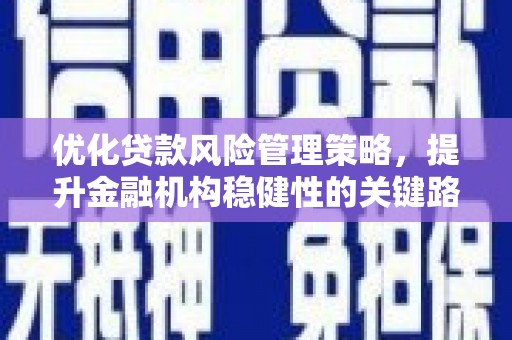 从化优化贷款风险管理策略，提升金融机构稳健性的关键路径