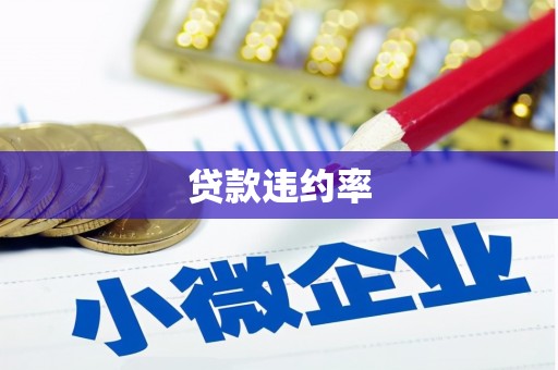 从化贷款违约率