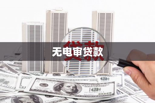 从化无电审贷款