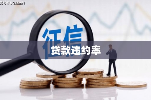 从化贷款违约率