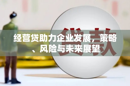 从化经营贷助力企业发展，策略、风险与未来展望