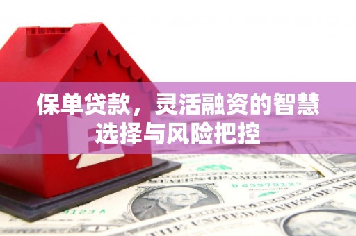 从化保单贷款，灵活融资的智慧选择与风险把控