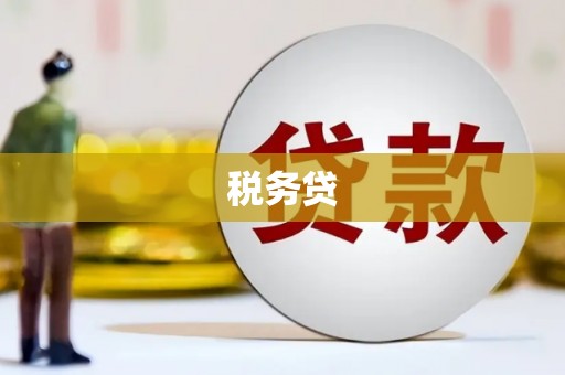 从化税务贷