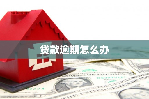 从化贷款逾期怎么办