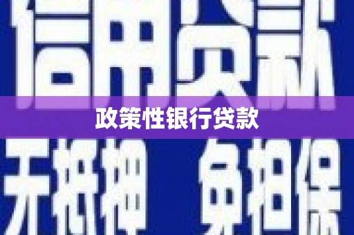 从化政策性银行贷款