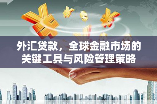 从化外汇贷款，全球金融市场的关键工具与风险管理策略