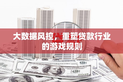 从化大数据风控，重塑贷款行业的游戏规则