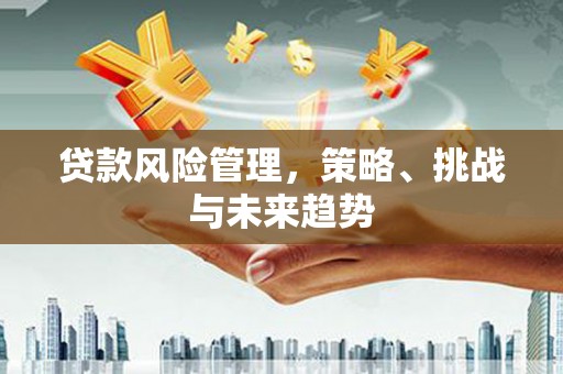 从化贷款风险管理，策略、挑战与未来趋势