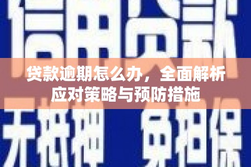 从化贷款逾期怎么办，全面解析应对策略与预防措施