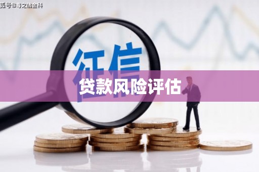 从化贷款风险评估