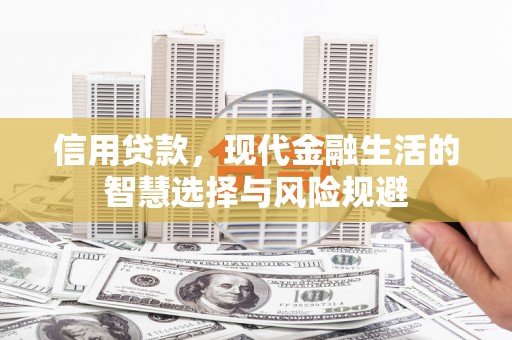 从化信用贷款，现代金融生活的智慧选择与风险规避