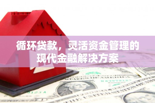 从化循环贷款，灵活资金管理的现代金融解决方案