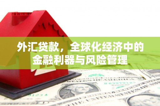从化外汇贷款，全球化经济中的金融利器与风险管理