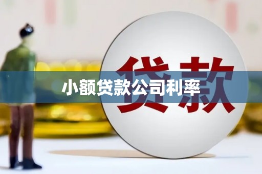 从化小额贷款公司利率