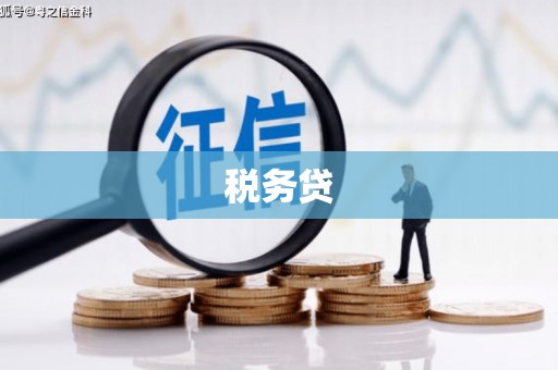 从化税务贷