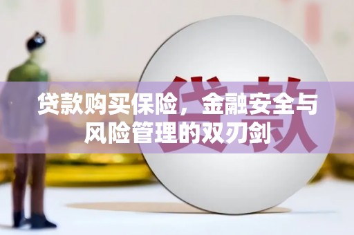 从化贷款购买保险，金融安全与风险管理的双刃剑