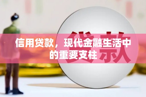从化信用贷款，现代金融生活中的重要支柱