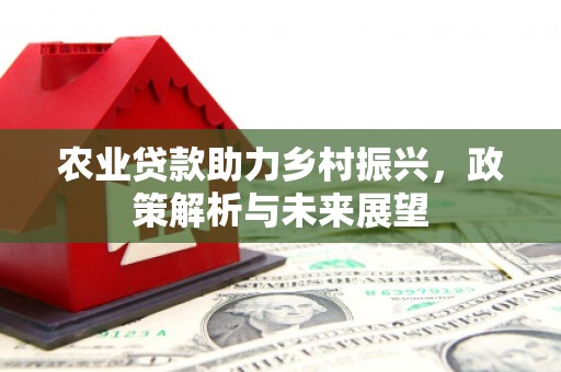 从化农业贷款助力乡村振兴，政策解析与未来展望