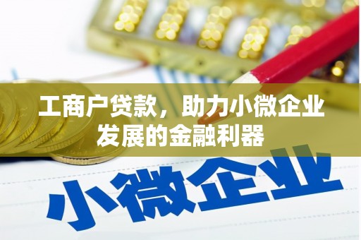 从化工商户贷款，助力小微企业发展的金融利器