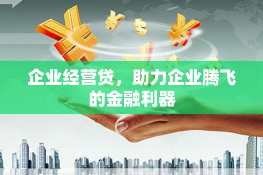 从化企业经营贷，助力企业腾飞的金融利器