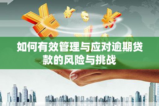 从化如何有效管理与应对逾期贷款的风险与挑战